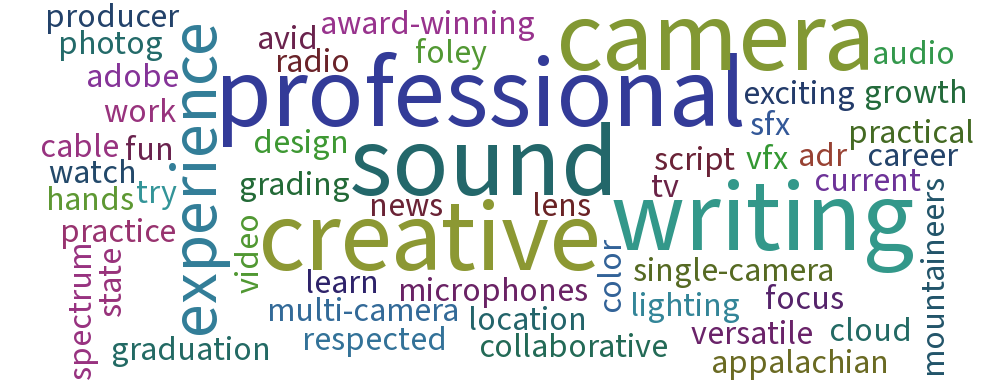 electronic-media_broadcasting_word_cloud_cropped.png