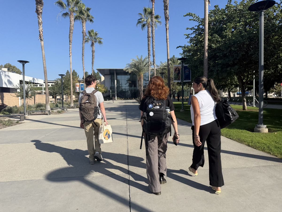 Students walking around in California with palm trees in the background.