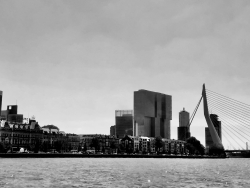 Erasmus Bridge • Rotterdam, The Netherlands