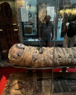 Cleopatra's Mummy, History Museum • London