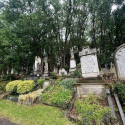 Highgate Cemetery • London