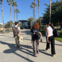 three students walking away from the camera in California, palm trees in background